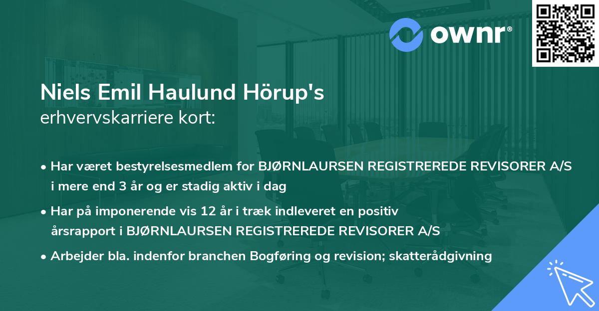 Niels Emil Haulund Hörup's erhvervskarriere kort