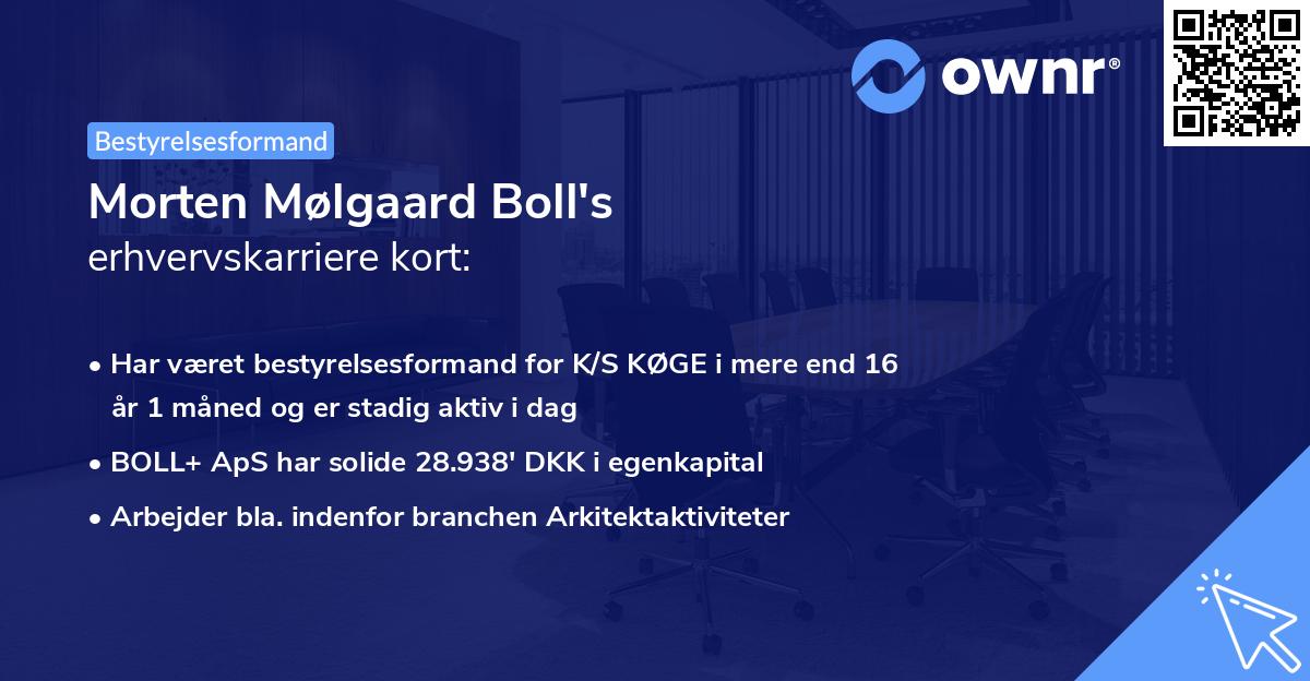 Morten Mølgaard Boll's erhvervskarriere kort