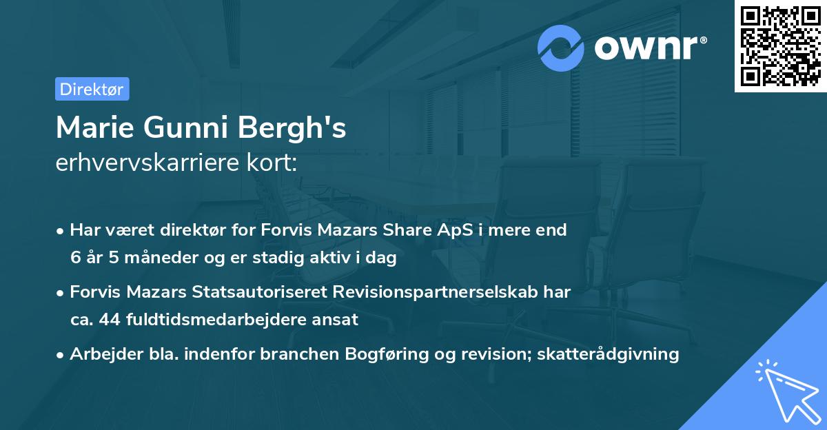 Marie Gunni Bergh's erhvervskarriere kort