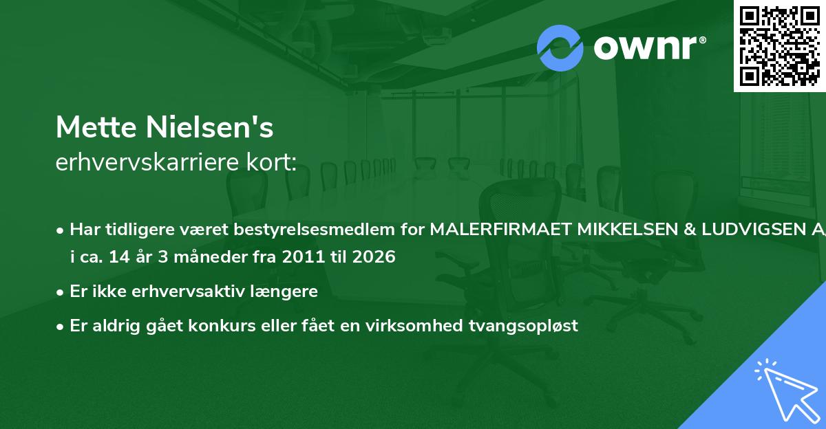 Mette Nielsen's erhvervskarriere kort