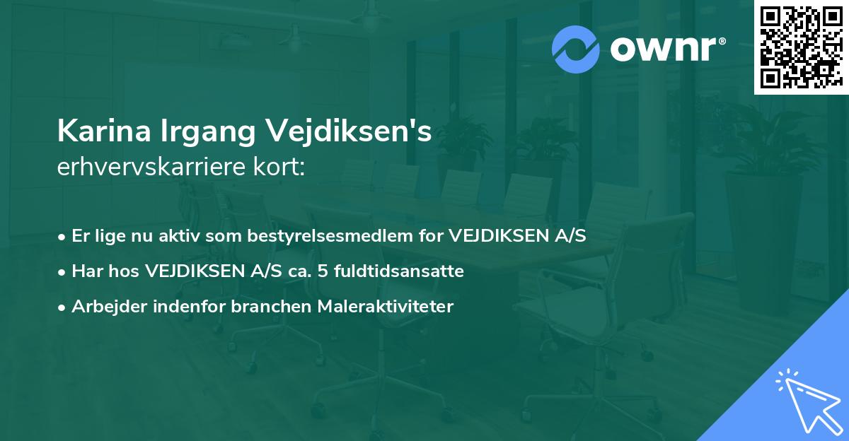 Karina Irgang Vejdiksen's erhvervskarriere kort