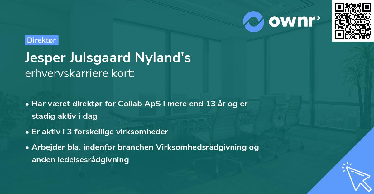 Jesper Julsgaard Nyland's erhvervskarriere kort