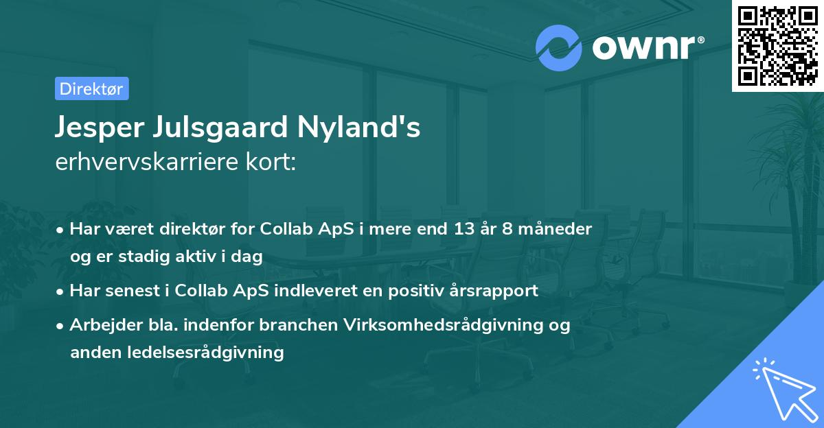 Jesper Julsgaard Nyland's erhvervskarriere kort