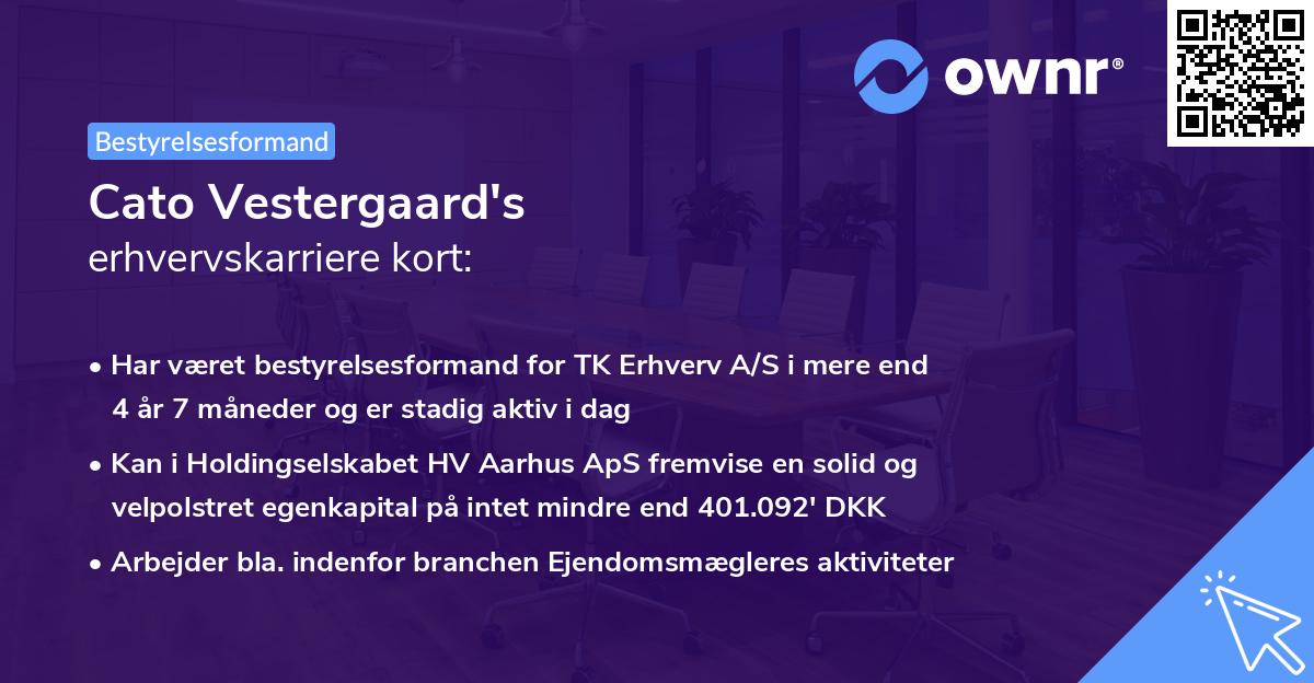 Cato Vestergaard's erhvervskarriere kort