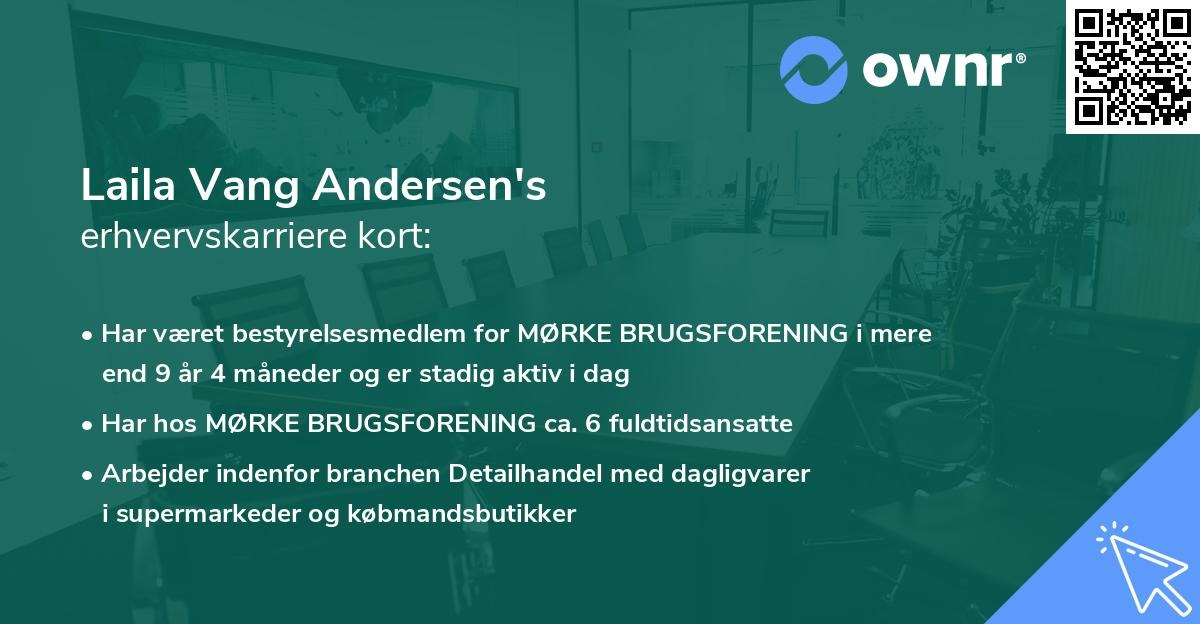 Laila Vang Andersen's erhvervskarriere kort