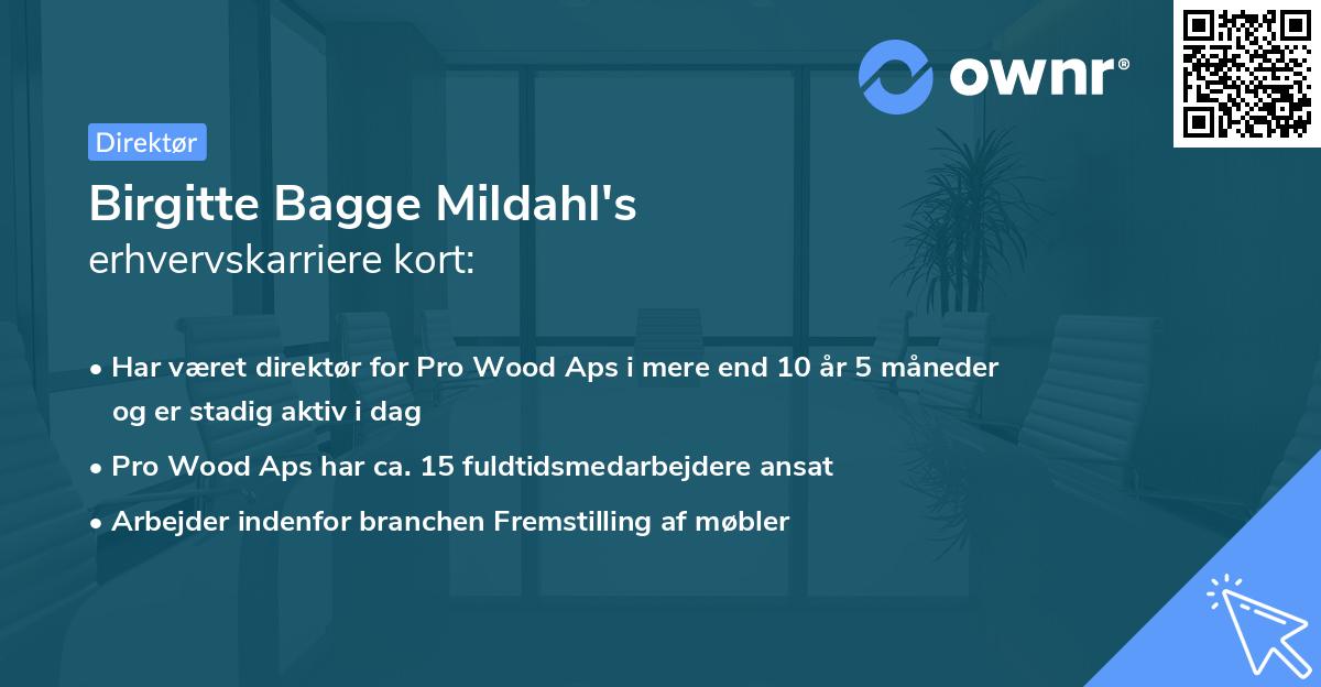 Birgitte Bagge Mildahl's erhvervskarriere kort