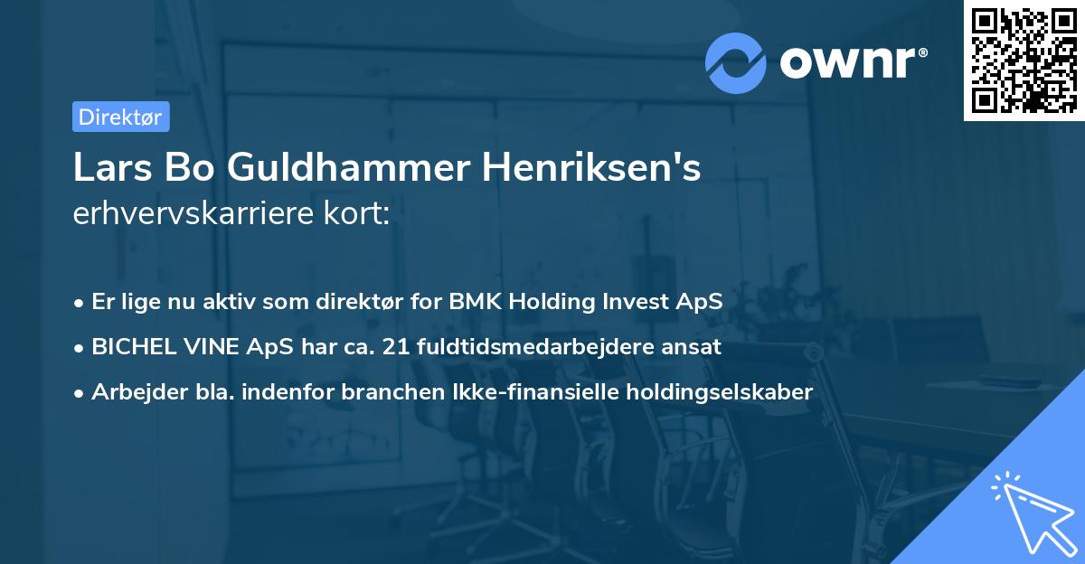 Lars Bo Guldhammer Henriksen's erhvervskarriere kort