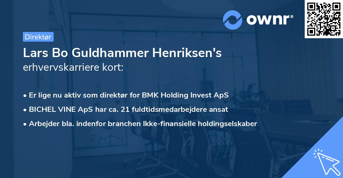 Lars Bo Guldhammer Henriksen's erhvervskarriere kort