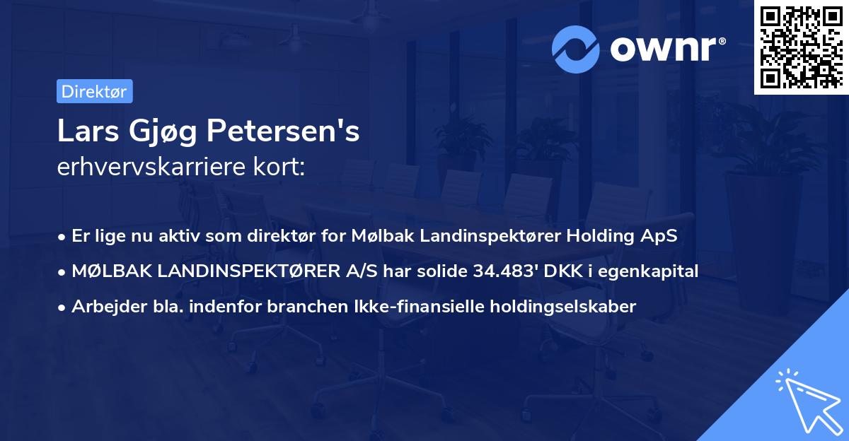 Lars Gjøg Petersen's erhvervskarriere kort