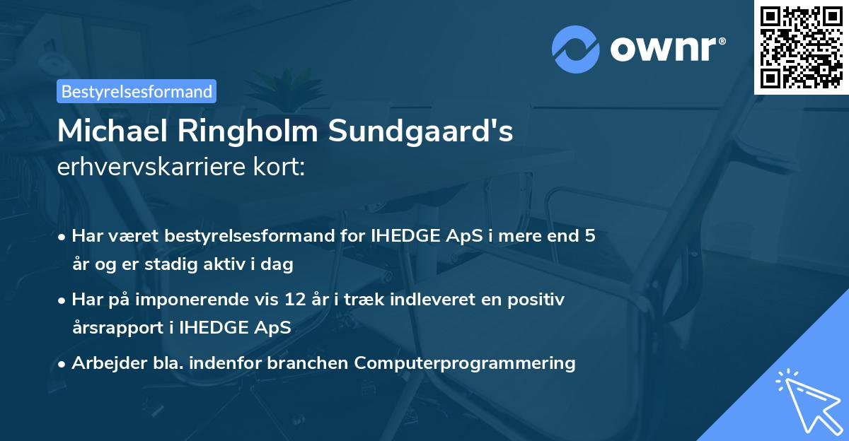 Michael Ringholm Sundgaard's erhvervskarriere kort