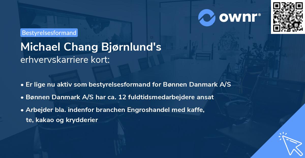 Michael Chang Bjørnlund's erhvervskarriere kort