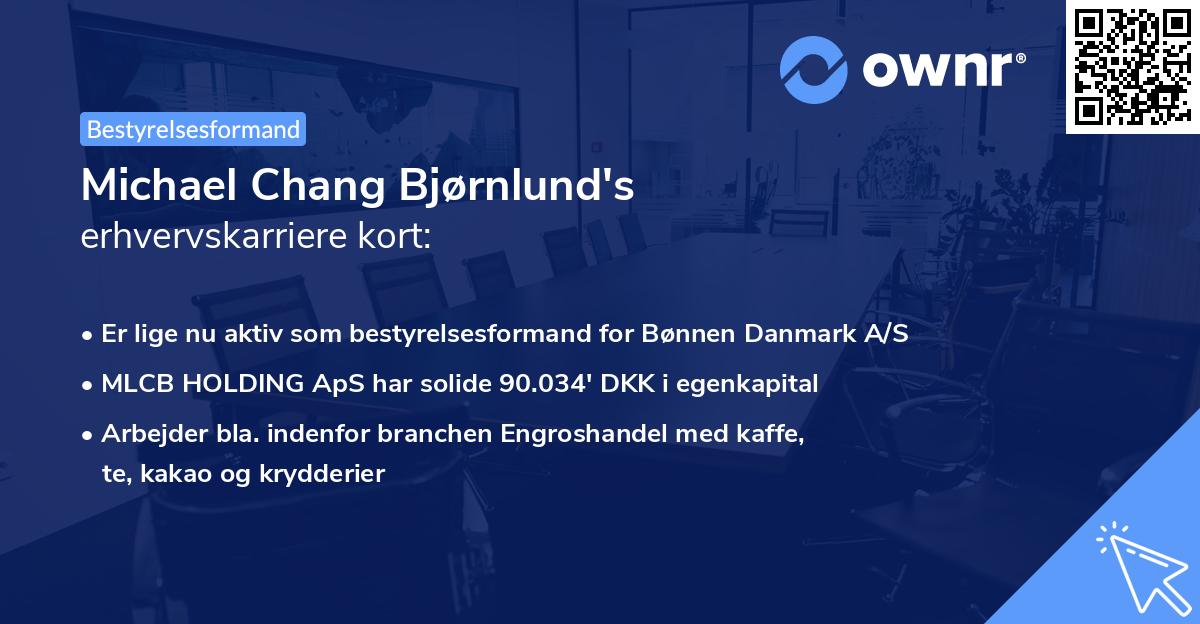 Michael Chang Bjørnlund's erhvervskarriere kort
