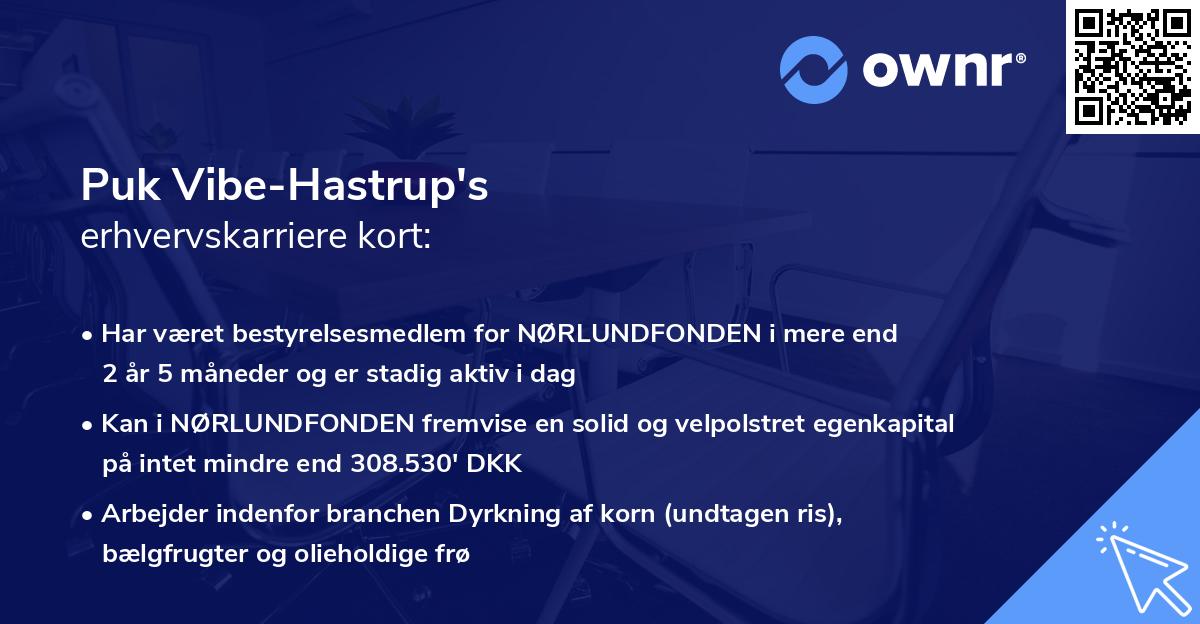 Puk Vibe-Hastrup's erhvervskarriere kort