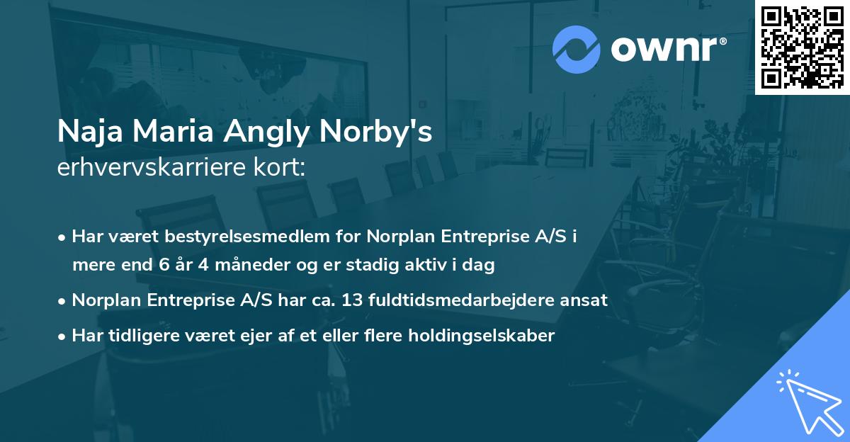 Naja Maria Angly Norby's erhvervskarriere kort