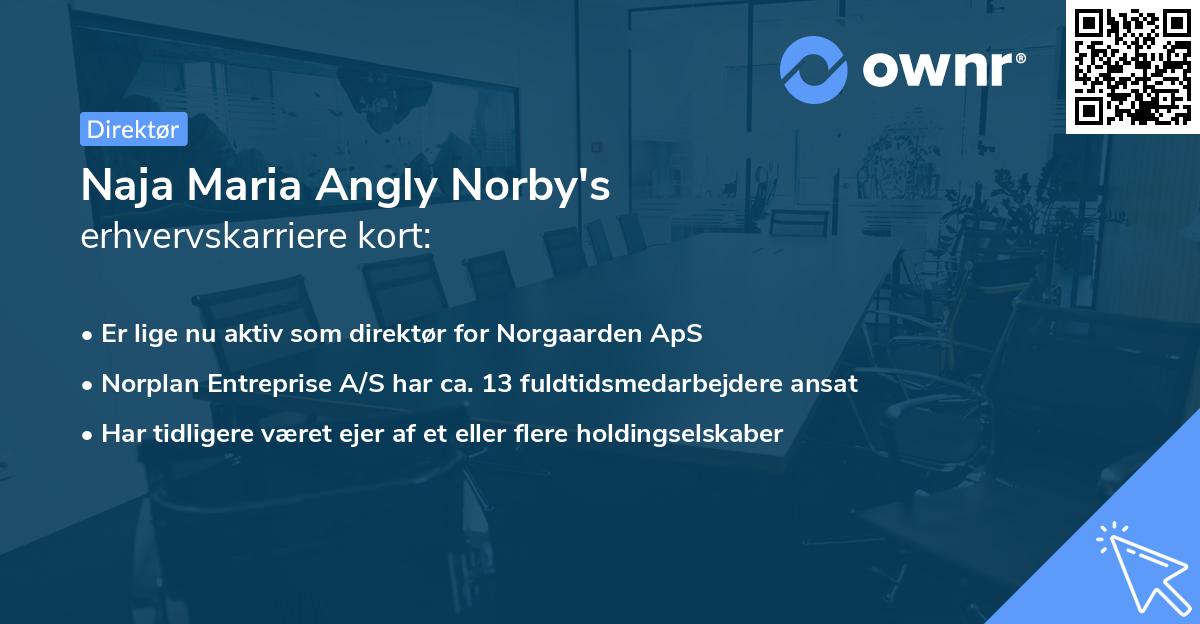 Naja Maria Angly Norby's erhvervskarriere kort