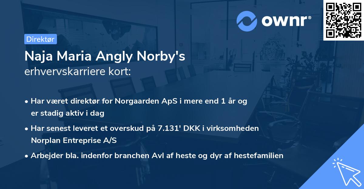Naja Maria Angly Norby's erhvervskarriere kort