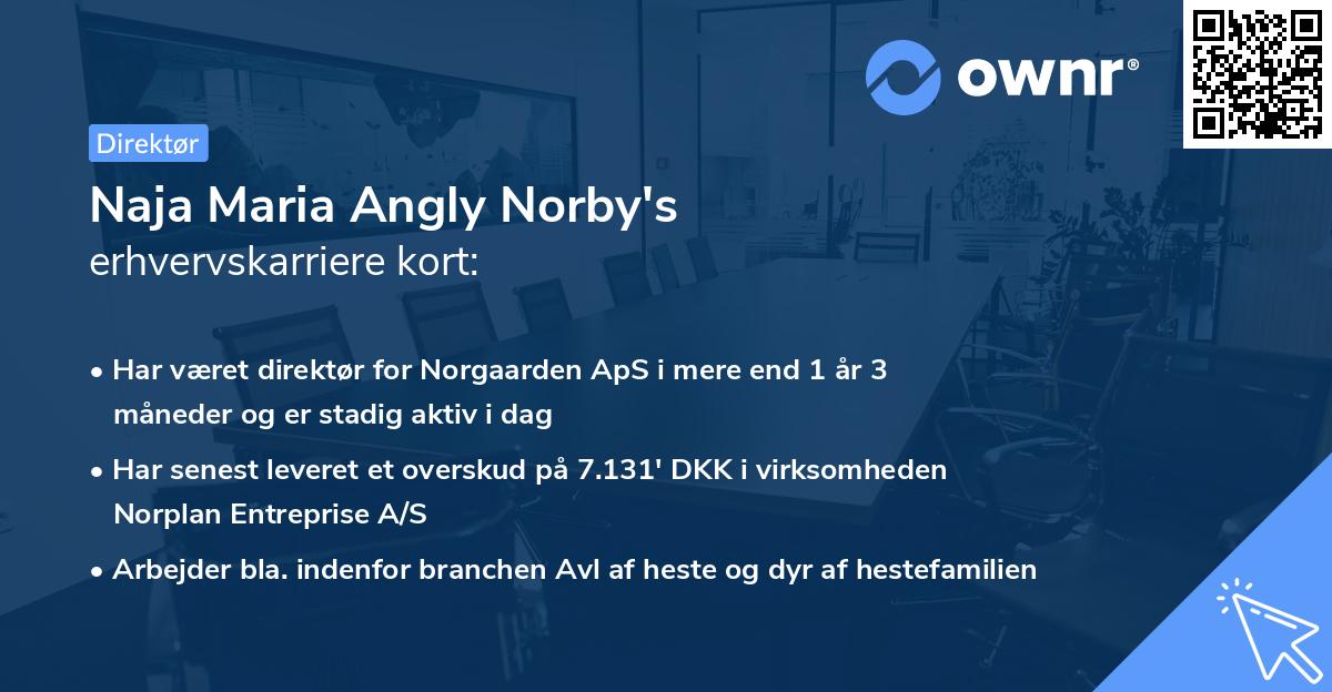 Naja Maria Angly Norby's erhvervskarriere kort