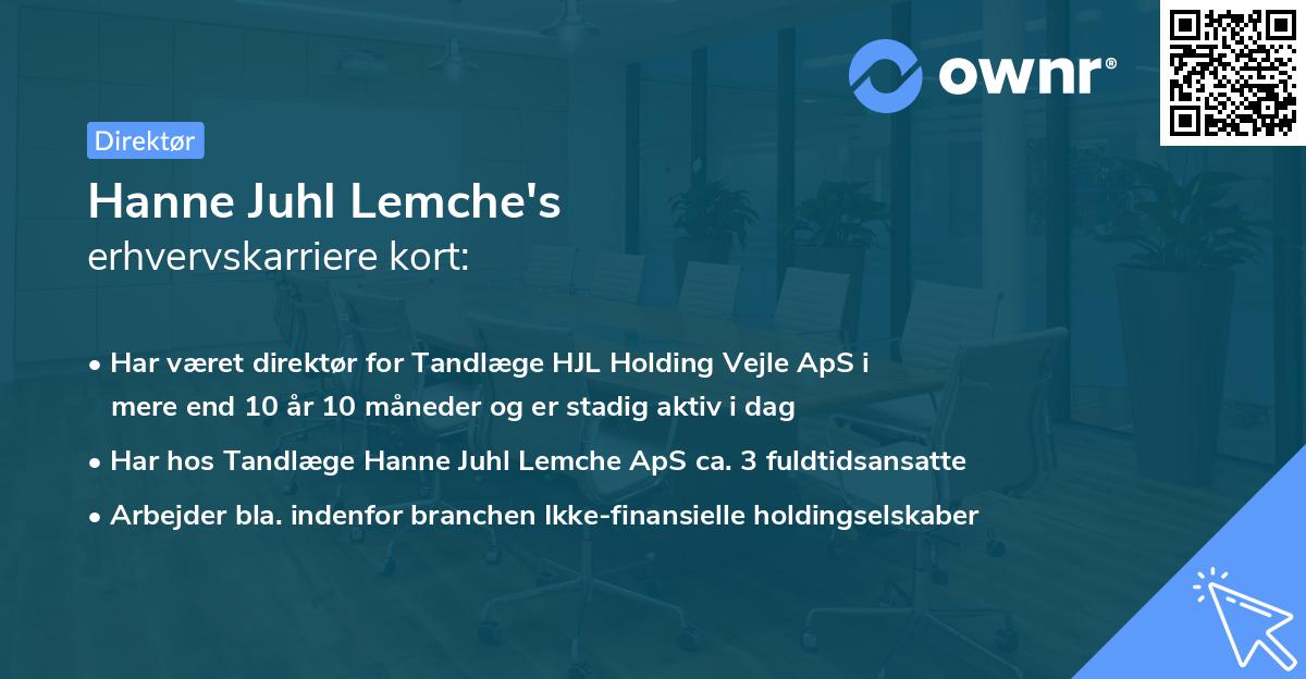 Hanne Juhl Lemche's erhvervskarriere kort