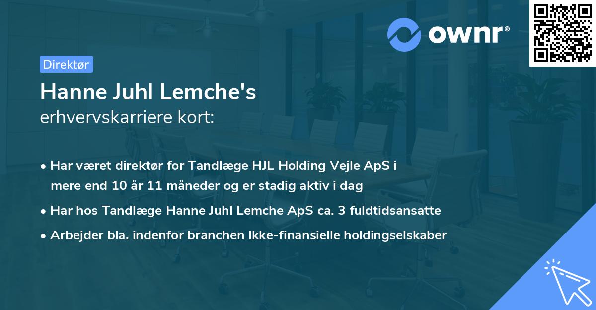 Hanne Juhl Lemche's erhvervskarriere kort