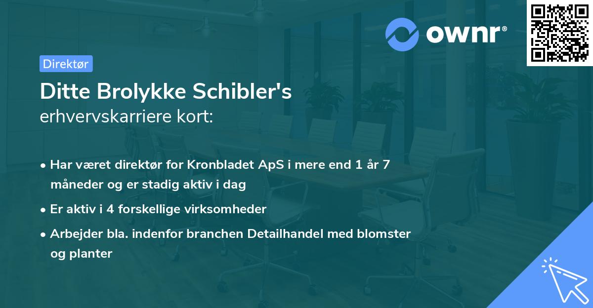 Ditte Brolykke Schibler's erhvervskarriere kort