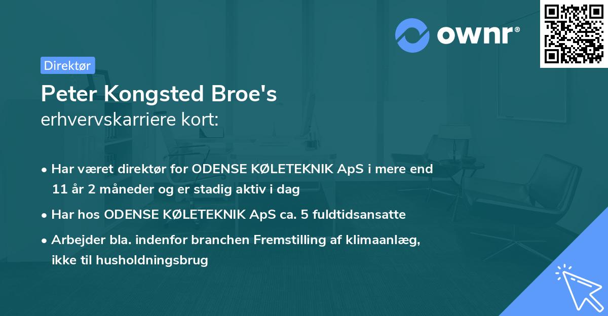 Peter Kongsted Broe's erhvervskarriere kort
