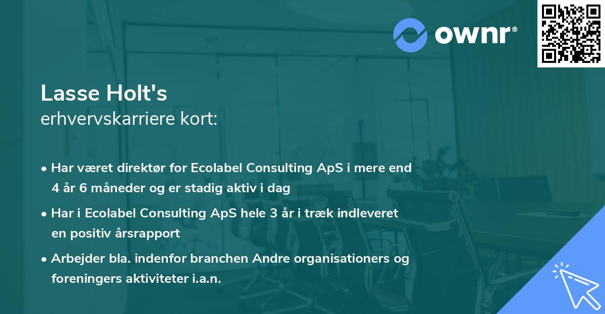 Lasse Holt's erhvervskarriere kort