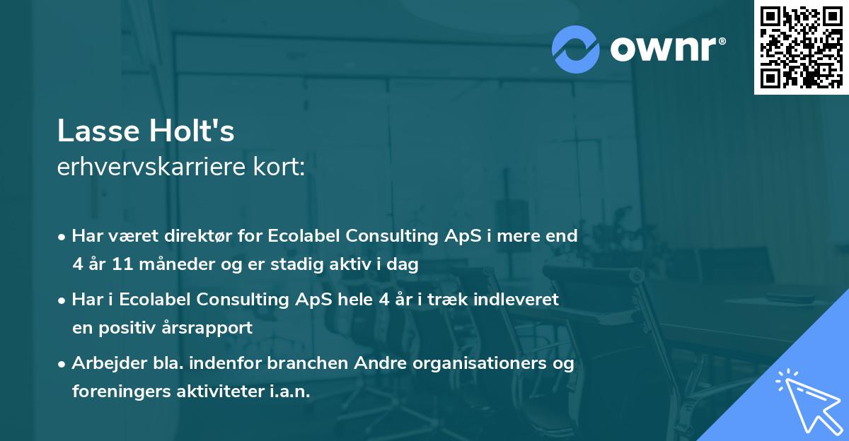 Lasse Holt's erhvervskarriere kort