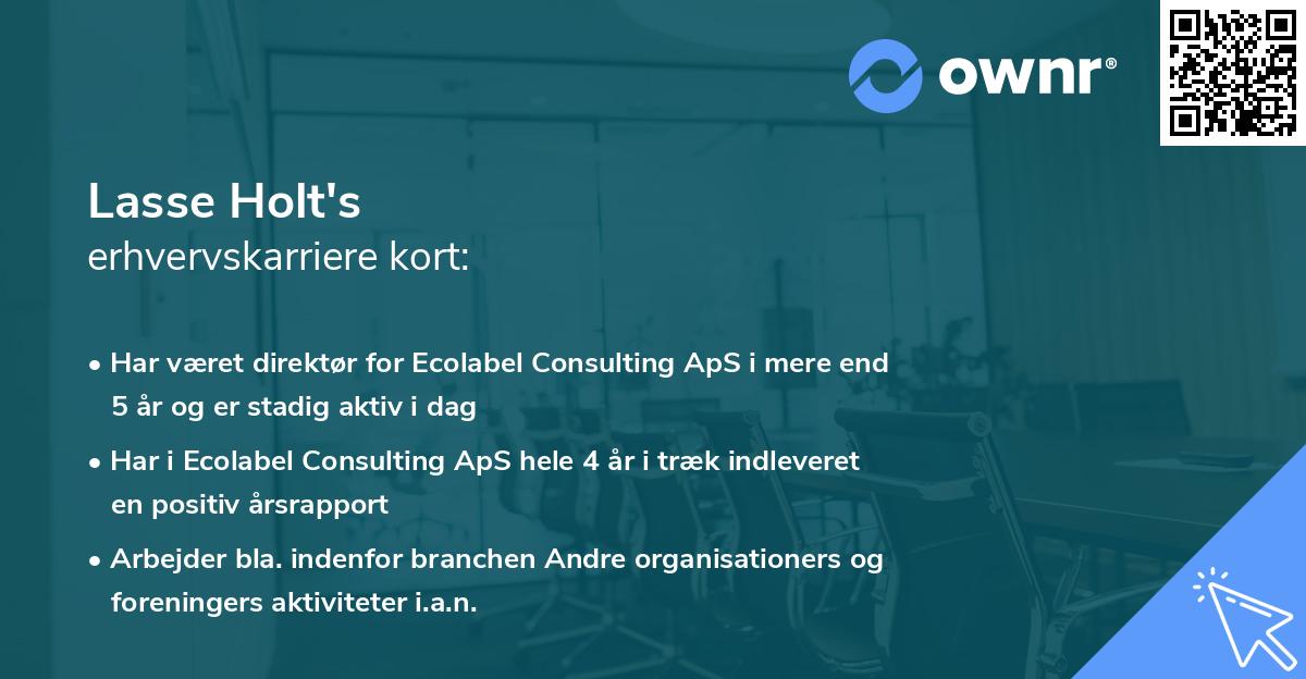 Lasse Holt's erhvervskarriere kort