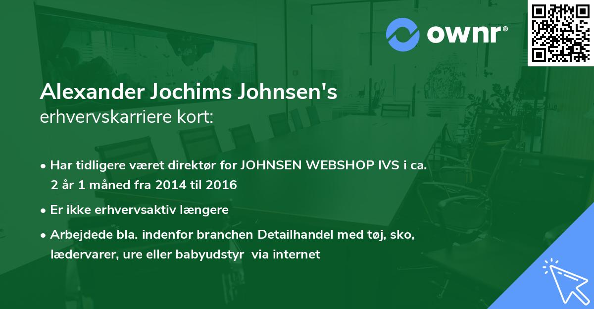 Alexander Jochims Johnsen's erhvervskarriere kort