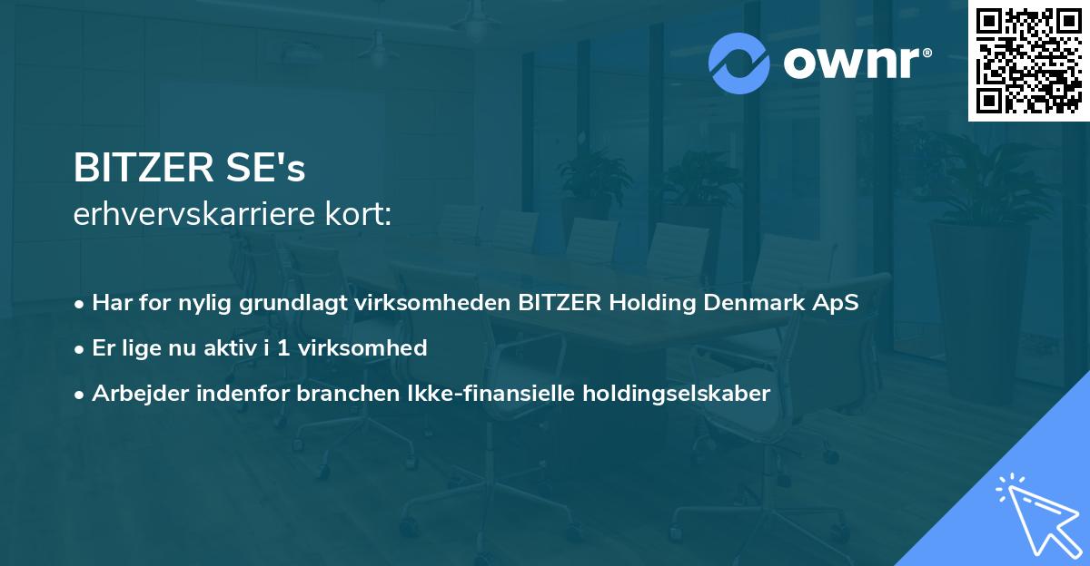 BITZER SE's erhvervskarriere kort