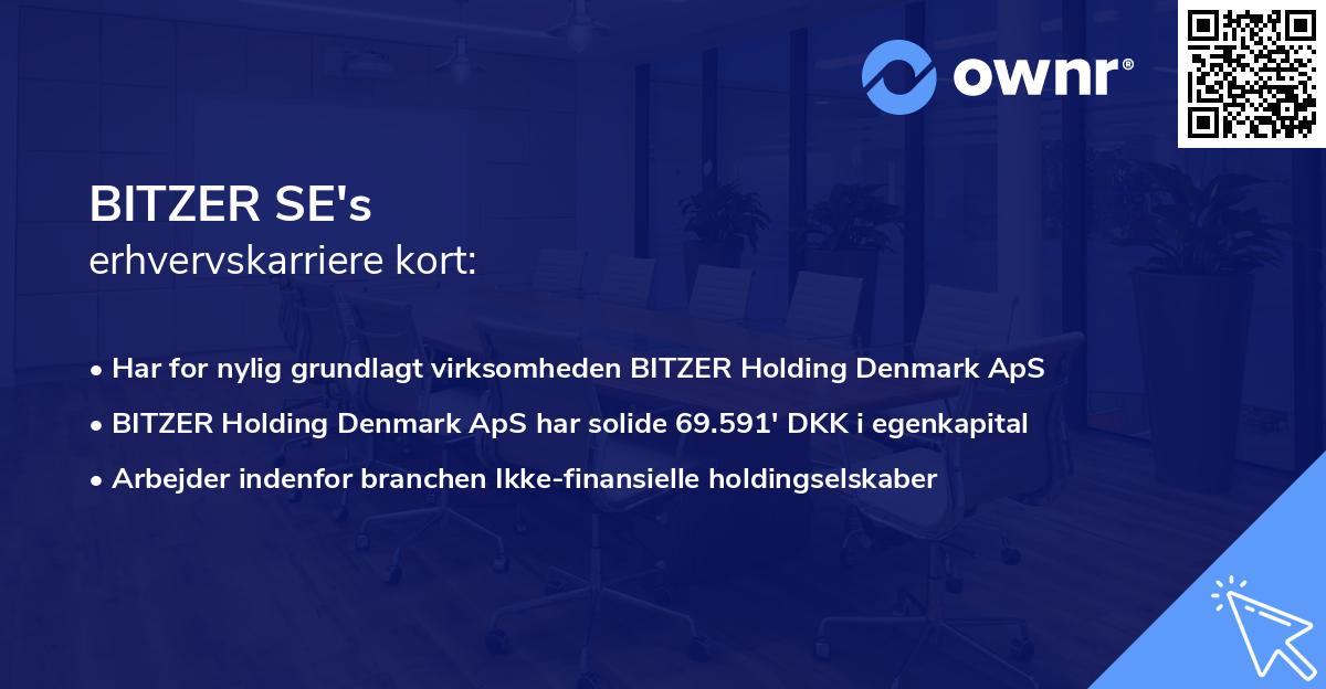 BITZER SE's erhvervskarriere kort