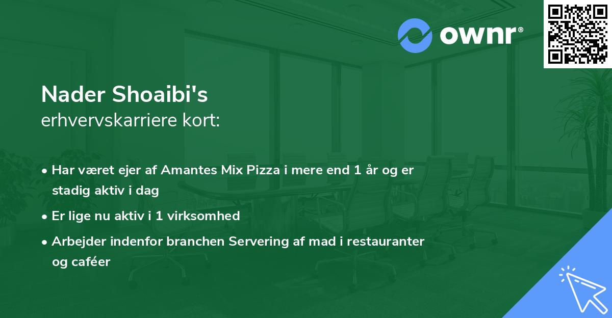 Nader Shoaibi's erhvervskarriere kort