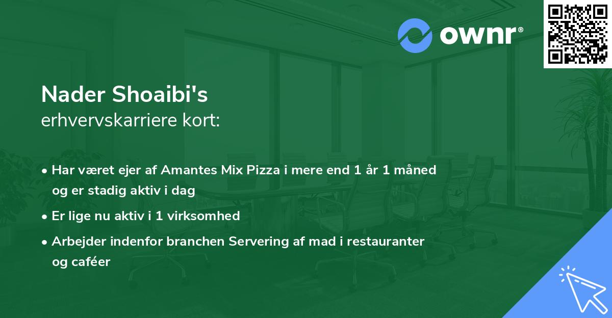 Nader Shoaibi's erhvervskarriere kort