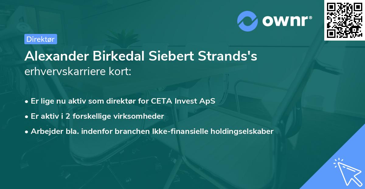 Alexander Birkedal Siebert Strands's erhvervskarriere kort
