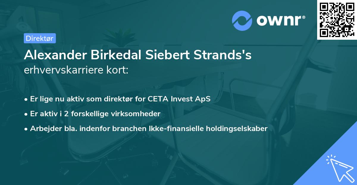 Alexander Birkedal Siebert Strands's erhvervskarriere kort