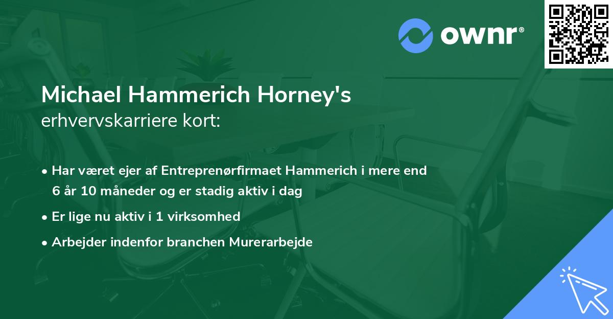 Michael Hammerich Horney's erhvervskarriere kort