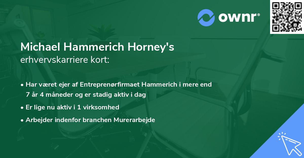 Michael Hammerich Horney's erhvervskarriere kort