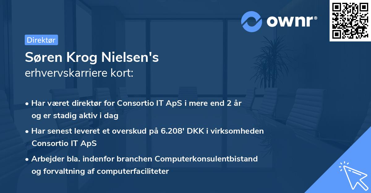 Søren Krog Nielsen's erhvervskarriere kort