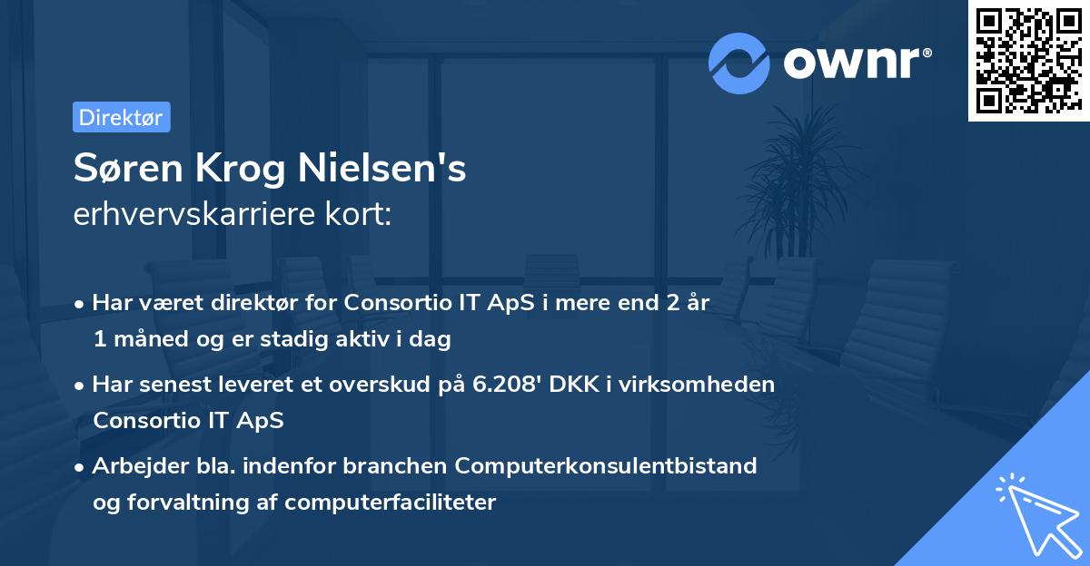 Søren Krog Nielsen's erhvervskarriere kort