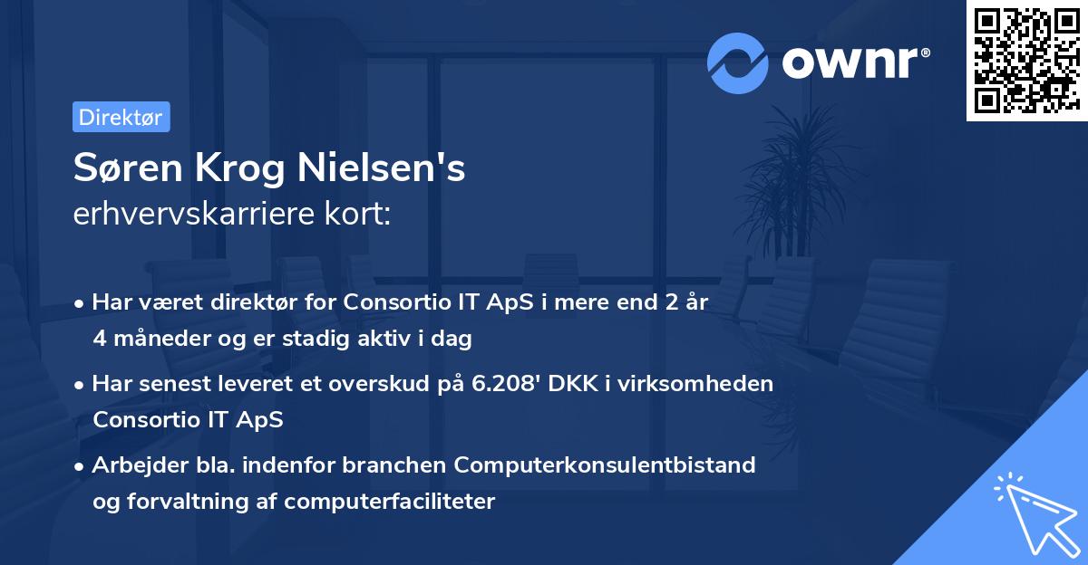 Søren Krog Nielsen's erhvervskarriere kort