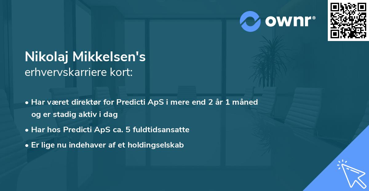 Nikolaj Mikkelsen's erhvervskarriere kort
