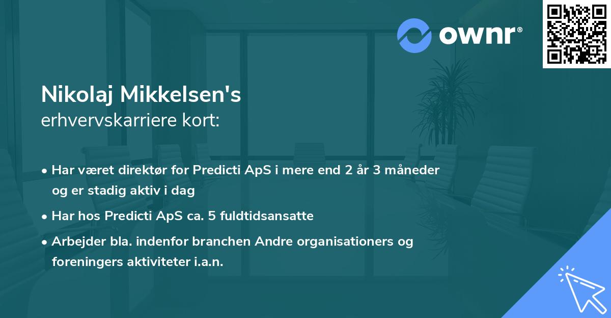 Nikolaj Mikkelsen's erhvervskarriere kort