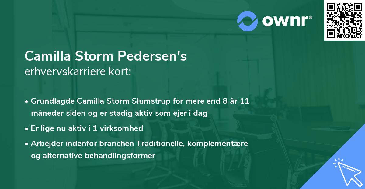 Camilla Storm Pedersen's erhvervskarriere kort