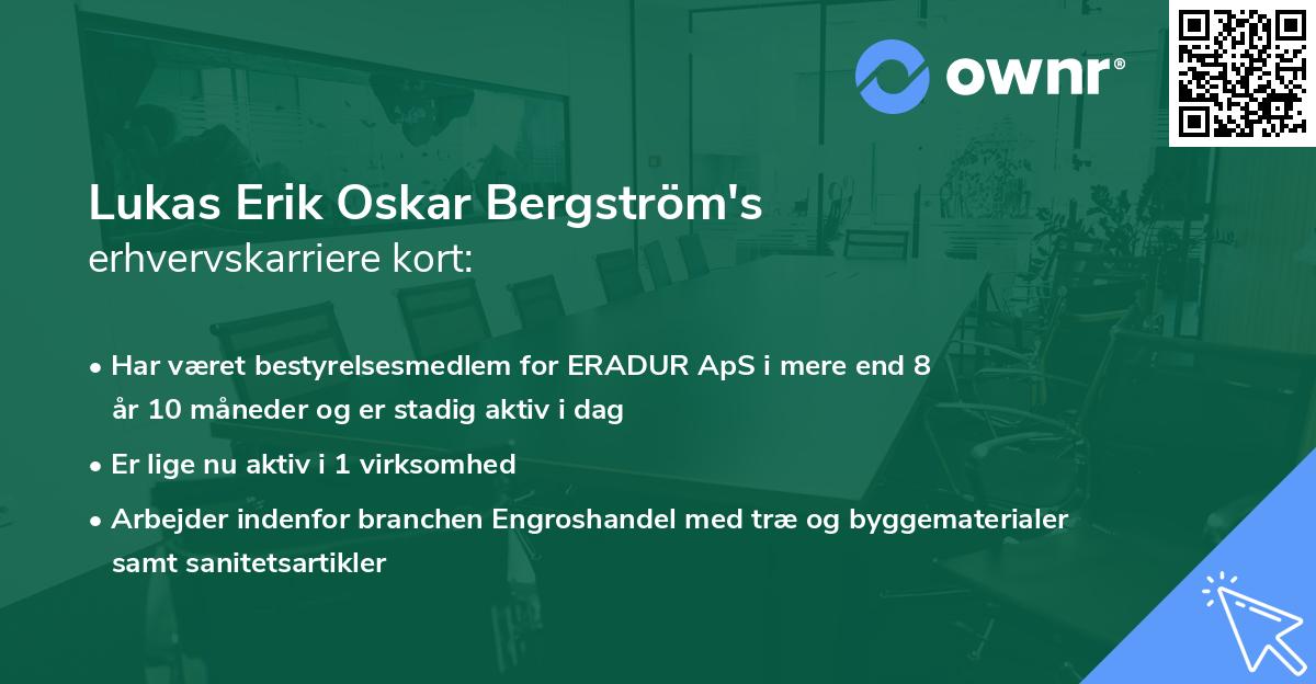 Lukas Erik Oskar Bergström's erhvervskarriere kort