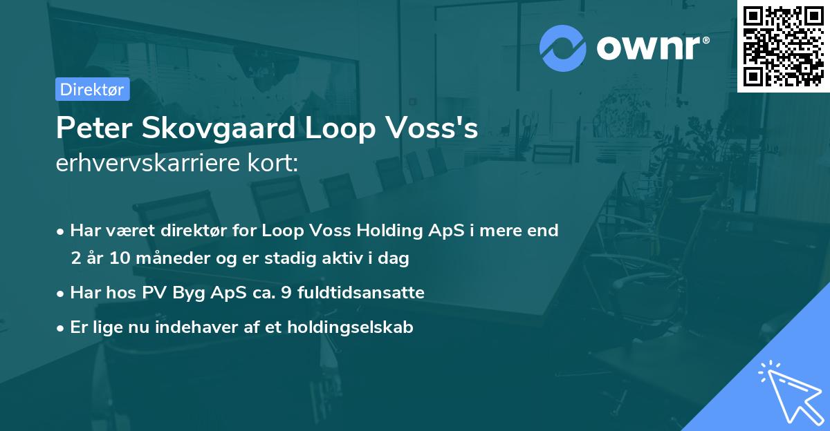 Peter Skovgaard Loop Voss's erhvervskarriere kort