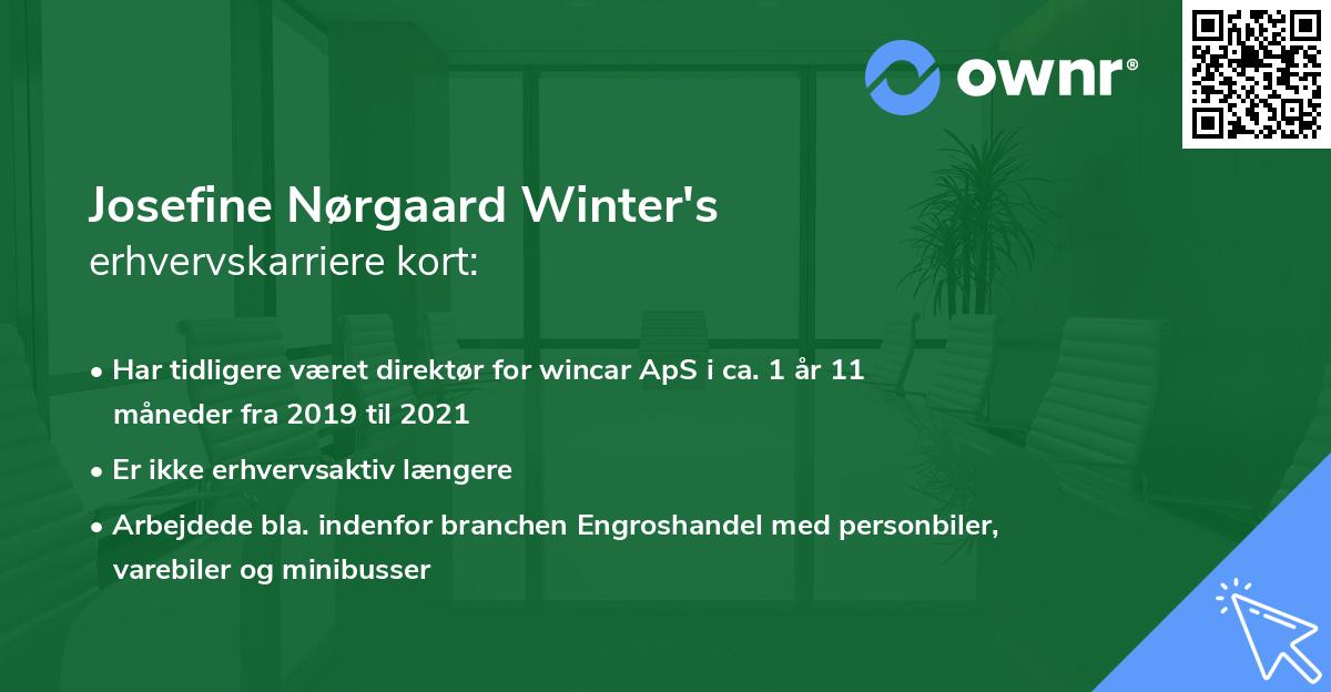 Josefine Nørgaard Winter's erhvervskarriere kort
