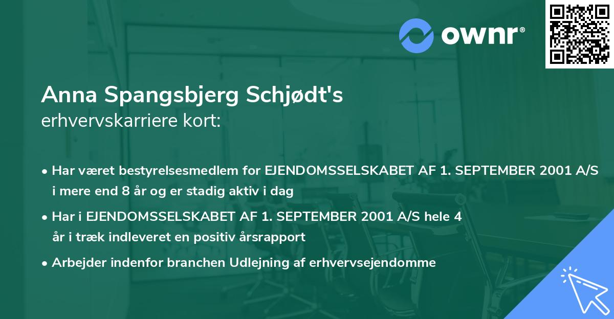 Anna Spangsbjerg Schjødt's erhvervskarriere kort