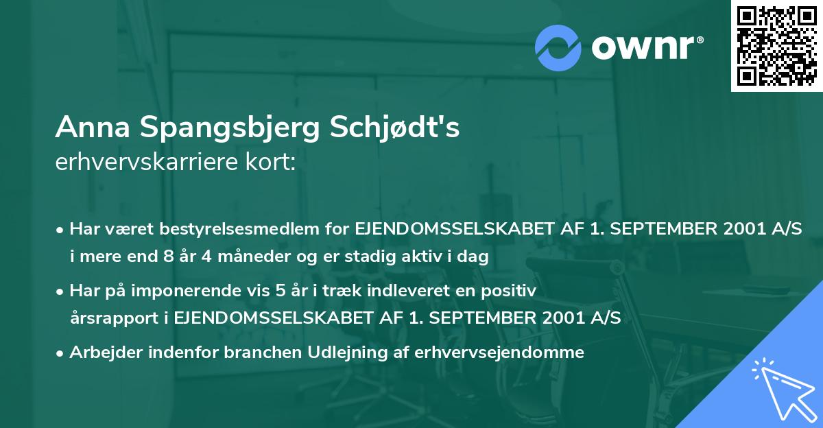Anna Spangsbjerg Schjødt's erhvervskarriere kort