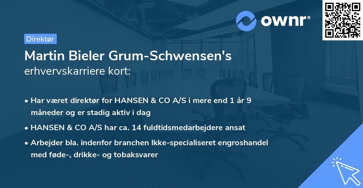 Martin Bieler Grum-Schwensen's erhvervskarriere kort