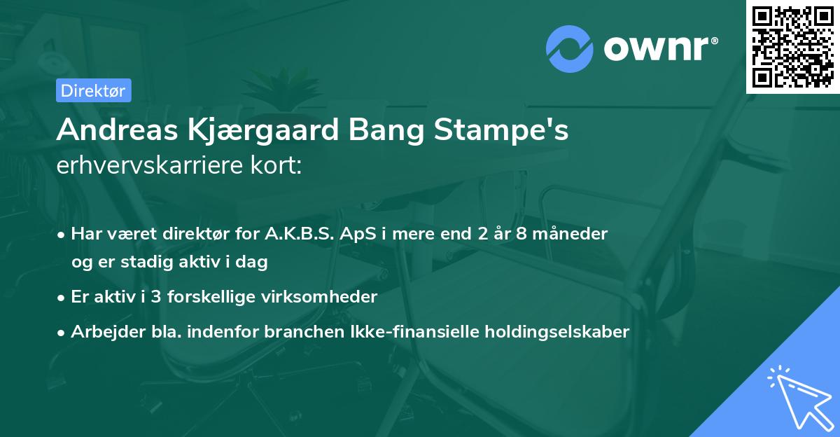 Andreas Kjærgaard Bang Stampe's erhvervskarriere kort